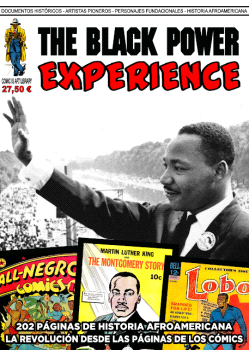 THE BLACK POWER EXPERIENCE